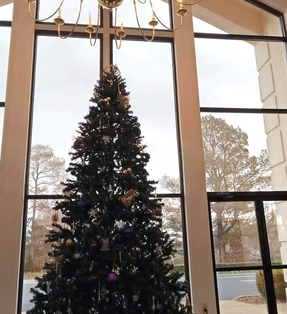 Professional interior window cleaning in the greater Nashville area, removing imperfections to give your home or business a polished finish.